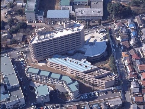 仏像】世界遺産 高野山金剛三昧院『十二支御守り本尊』千手観音