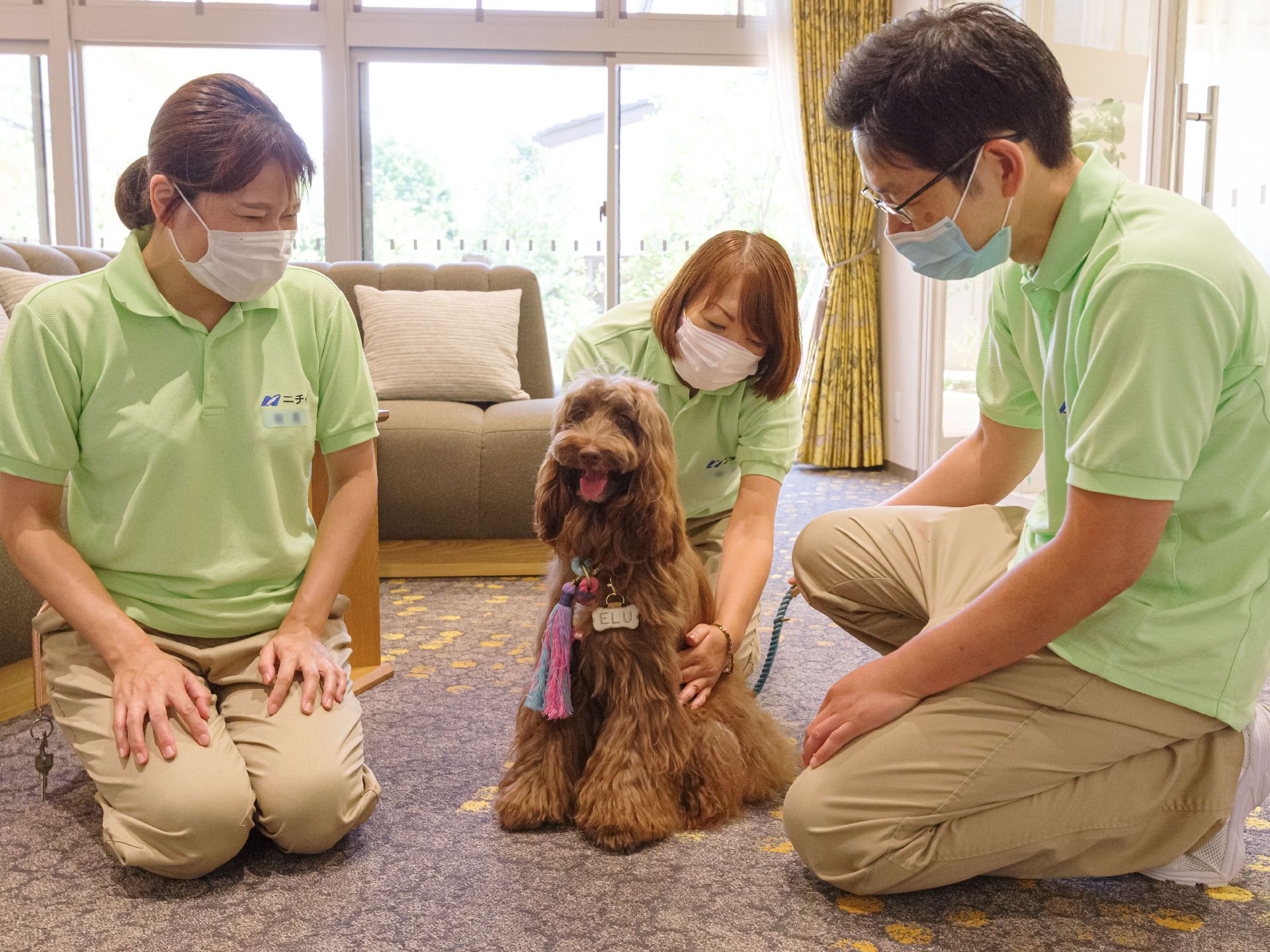 ラブラドゥール犬をかわいがる緑のポロシャツを着た３人の従業員