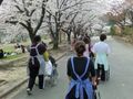 「ここから南千里」のお花見。お出かけして桜が見られる。