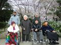「ここから木田元宮」のお花見。桜を見にお出かけできます。
