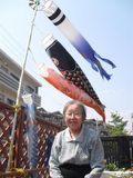 鯉が風に揺られて宙に舞っている様子