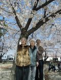 桜をバックに満面の笑みを浮かべる入居者様