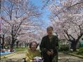 満開の桜を背景に、仲の良いご入居者様