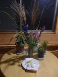 すすき、桔梗、菊の花、月見団子のお供え。