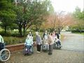 紅葉見学