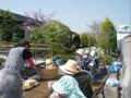 外でのお食事風景
