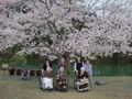 「介護付有料老人ホーム スローライフもんぜん」のお花見。美しい桜を見に出かけます。