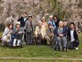 サービス付き高齢者向け住宅 ライフェル駒川のお花見。季節を楽しんでいただけるイベントをご用意しております。スタッフが付き添っての外出なので車いすの方も安心です。