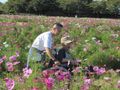 「百ねん庵桜」の外出レク。