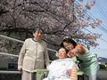 「パラディはるみかん」のお花見。