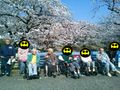 桜の下で集合写真
