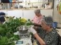 紫蘇を仕分けている入居者