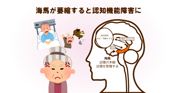 母親に認知症の疑いがあり脳神経外科へ。しかし検査や進行状況のチェックだけで、薬の処方は心療内科の役割。本人と家族の負担を減らす医者選びを！