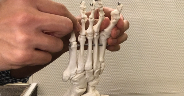 拘縮の予防・改善に効果的！すぐに実践できるストレッチを理学療法士が解説
