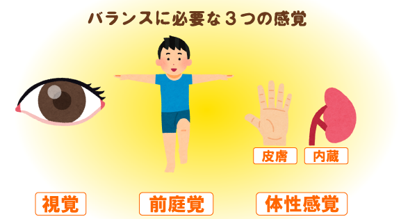 【動画付き】体のバランスが悪い原因とは？バランス能力低下を改善するための簡単リハビリ・体幹トレーニング
