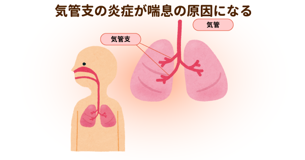 喘息の薬が効かない時は何科を受診する？高齢者の副作用にも注意！