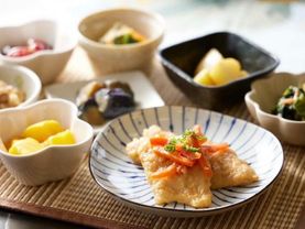 ドクターサンゴ守口