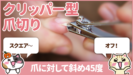 【動画】爪切り介護を安全に行う手順