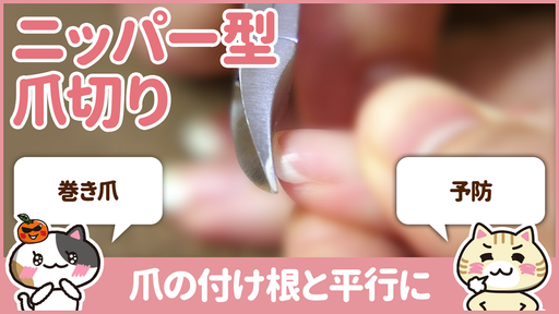 【動画】ニッパー型爪切りの使い方