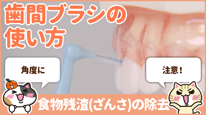 【動画】食物残渣を歯間ブラシで取り除く方法