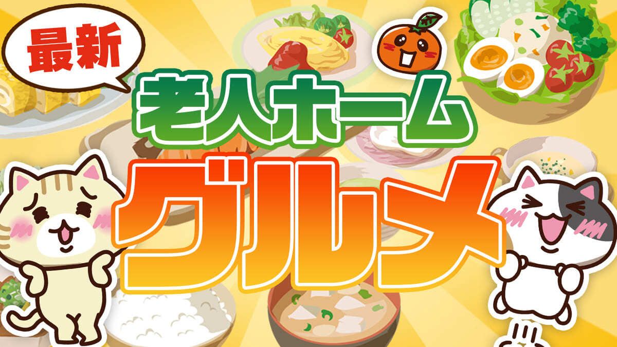 １着でも送料無料 猫の介護食まとめて Www Anavara Com