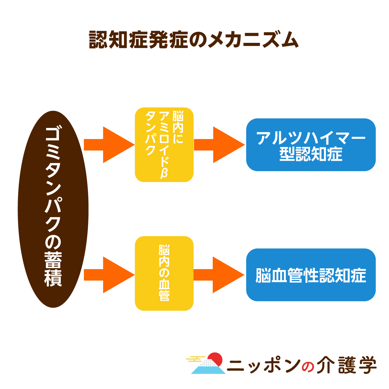 認知症の予防に効果がある食材総まとめ 食生活の改善で ゴミタンパク を溜めない介護予防を ニッポンの介護学 みんなの介護