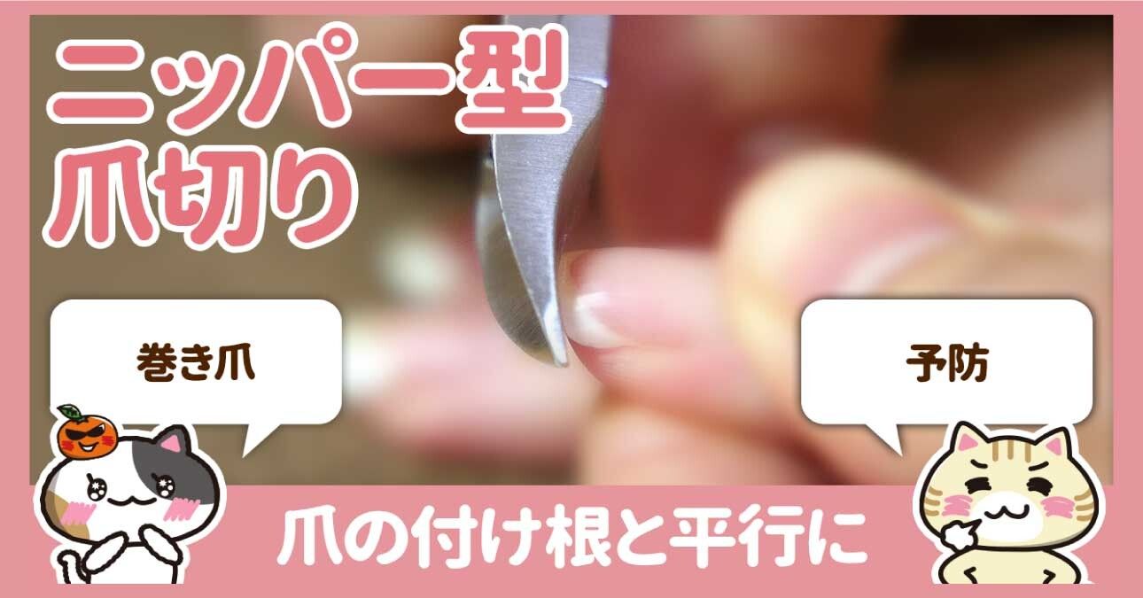 動画 ニッパー型爪切りの使い方 みんなの介護