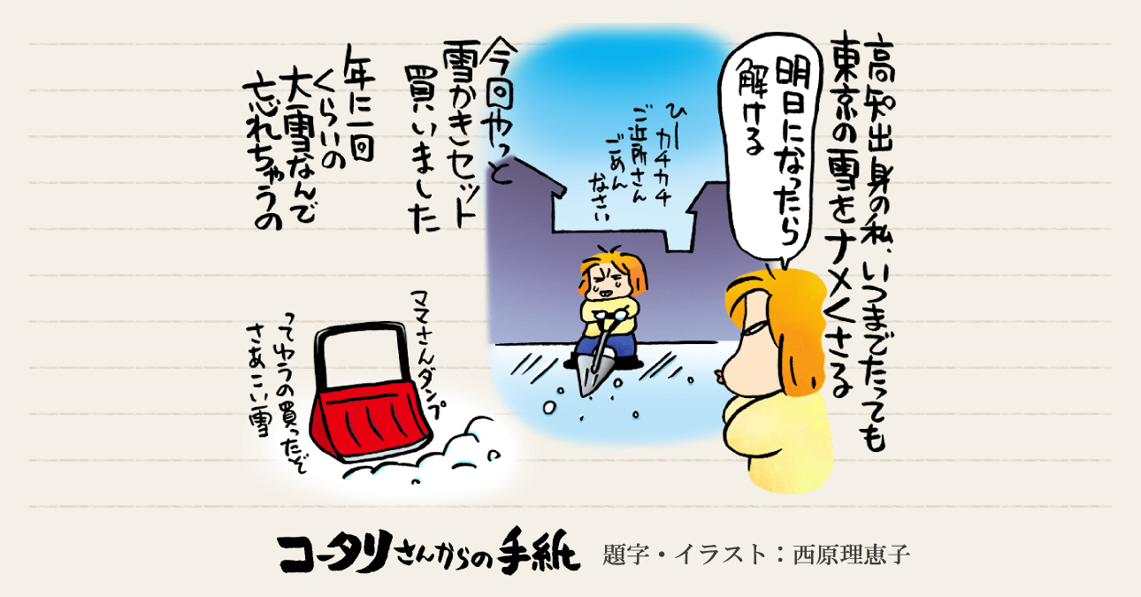 雪が降った日に思ったこと〜普段はご近所付き合いが少ないボクたちも、日頃から大変お世話になっているんだよなあ〜