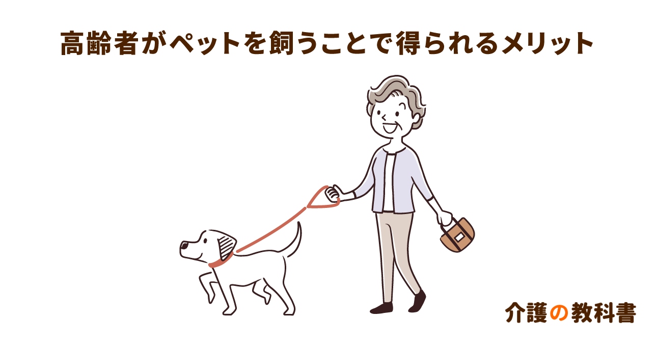 【ペットを飼うメリット】犬を飼う高齢者の介護リスクが半減する理由とは？