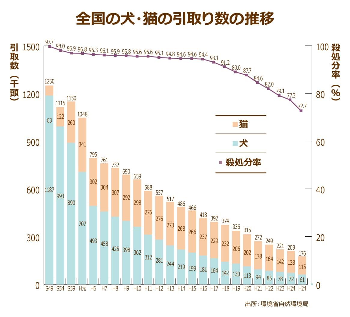 ペット飼育 医療費 エビデンス