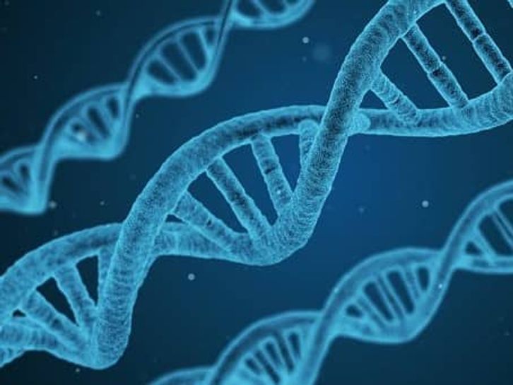 人間の才能の遺伝子の画像