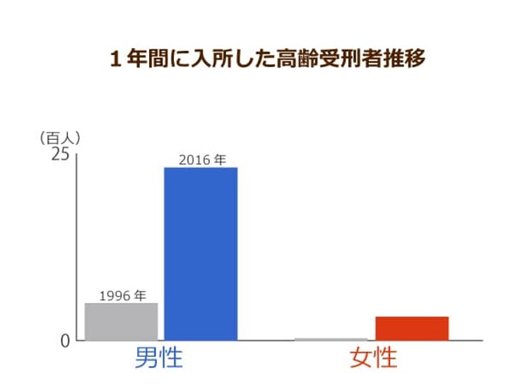 1年間に入所した高齢受刑者推移