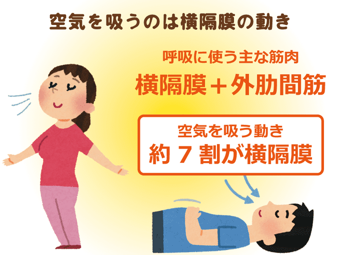 正しい呼吸は長寿の秘訣 理学療法士が教えるお手軽 横隔膜 トレーニング 介護の教科書 みんなの介護