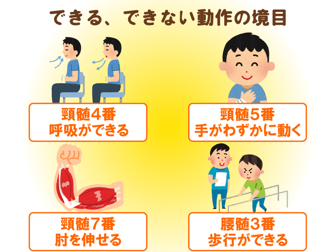 脊髄損傷で身体麻痺 自宅でもできるリハビリで 残された機能を最大限に活かす 脊髄損傷のリハビリ編 介護の教科書 みんなの介護