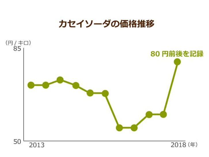 カセイソーダの価格推移