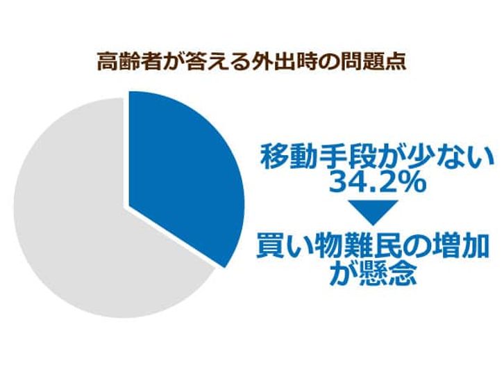 高齢者が答える外出時の問題点