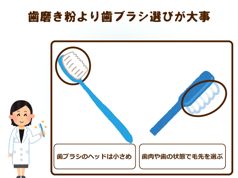 歯磨き粉より歯ブラシ選びが大事