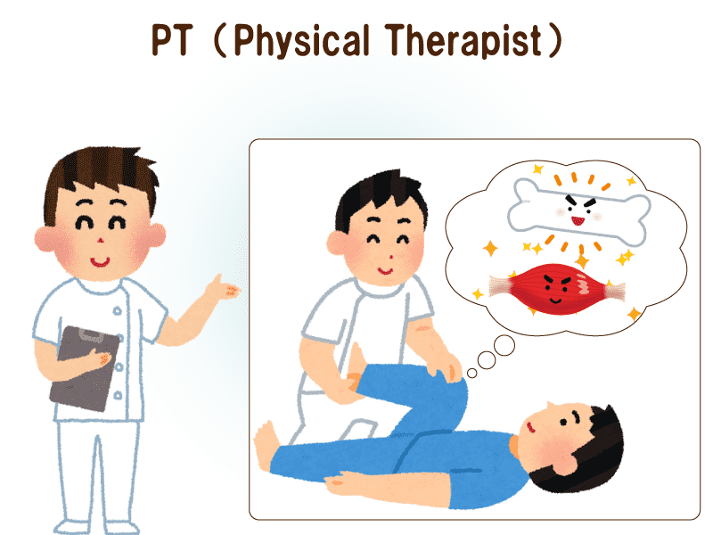 PT（Physical Therapist）