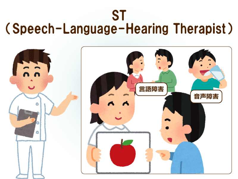 ST（Speech-Language-Hearing Therapist）