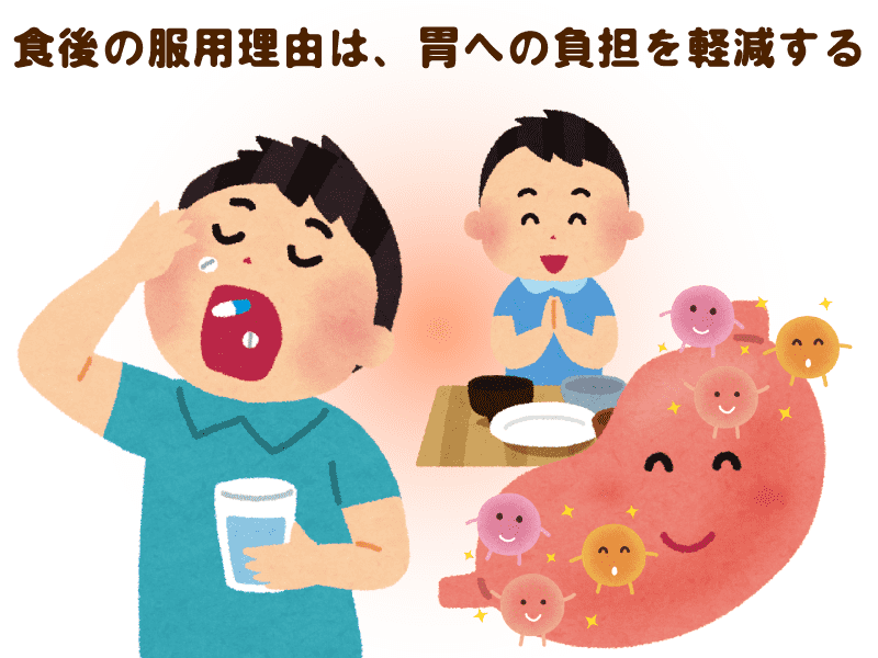 食後の服用理由は、胃への負担を軽減する