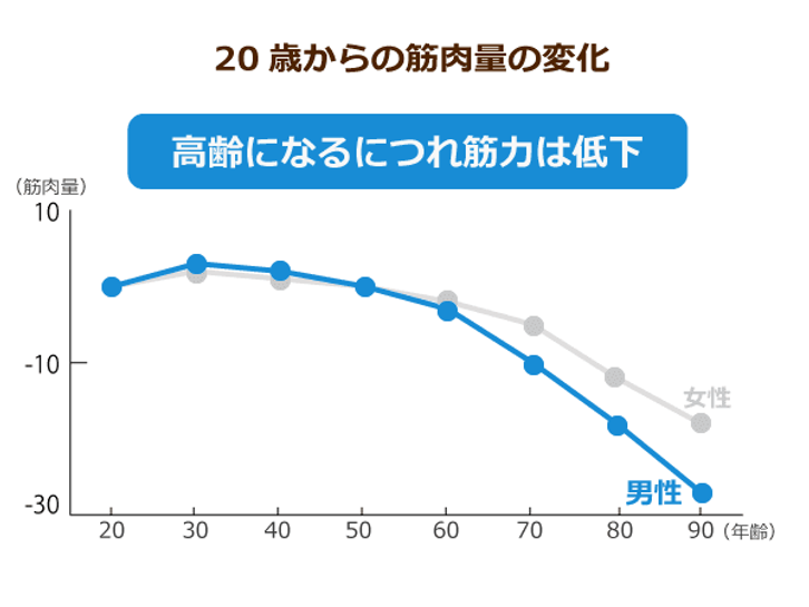 加齢による筋肉量の変化