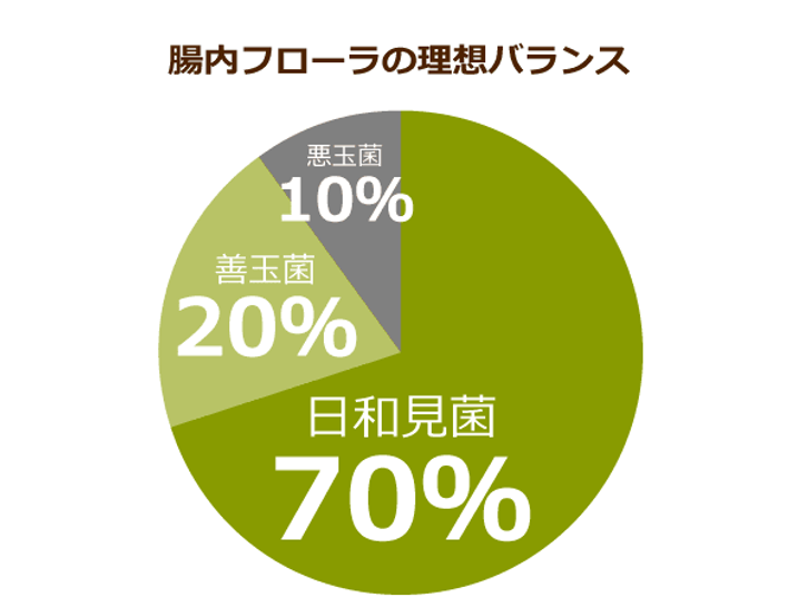 腸内フローラの理想バランス