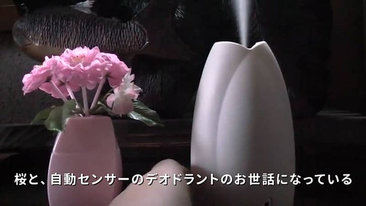 45秒あたり。動画のキャプチャー②