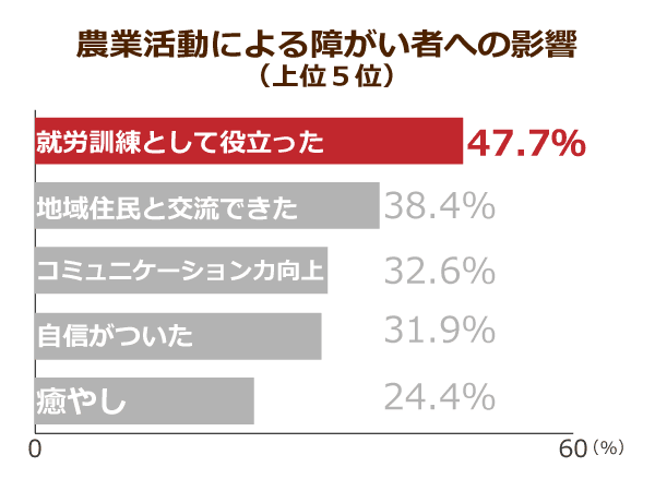 農業活動にとる障害者への影響
