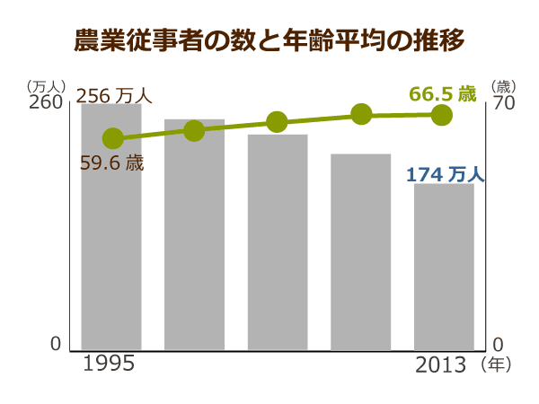 介護職員による高齢者への虐待件数