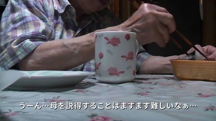 動画のキャプチャー2