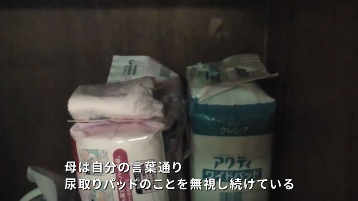 動画のキャプチャー3