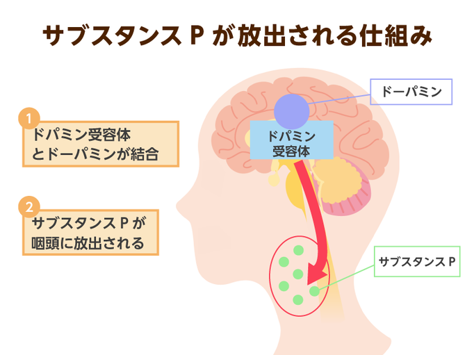 むせない嚥下 不顕性誤嚥 に要注意 肺炎を防ぐためには抵抗力が重要です ３つの方法と呼吸理学療法を紹介します 介護の教科書 みんなの介護