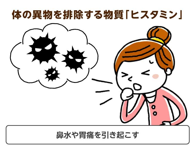 体の遺物を排除する物質「ヒスタミン」