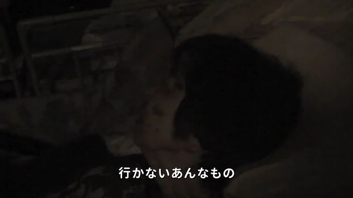 動画のキャプチャー1